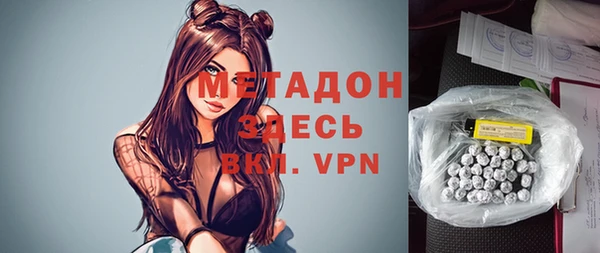 гашик Алексин