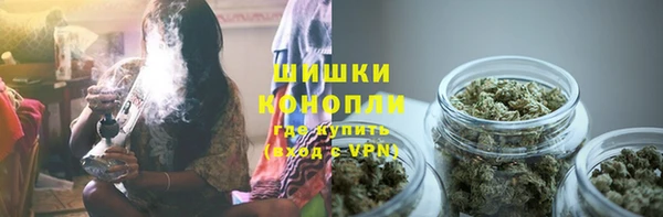 ГАЛЛЮЦИНОГЕННЫЕ ГРИБЫ Алексеевка