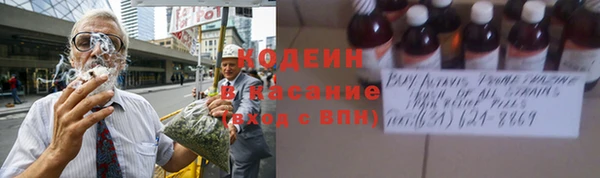 гашик Алексин
