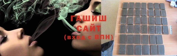 гашик Алексин