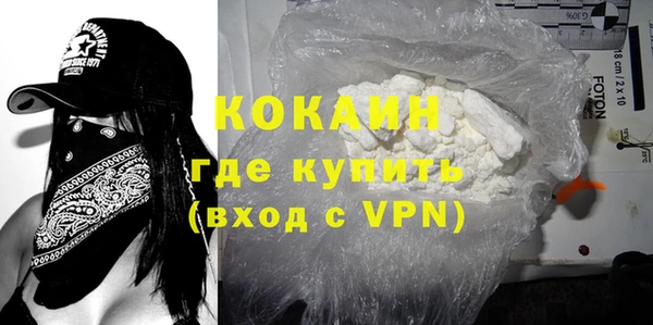 гашик Алексин