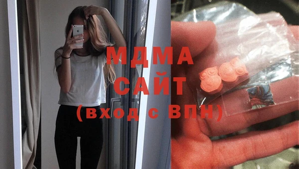 гашик Алексин